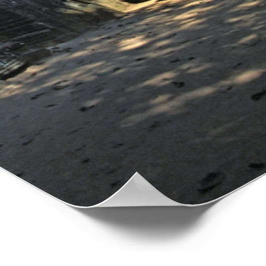 Angkor wat, Ta som temple - Cambodja, Azië Poster (Hoek)