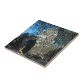 Angkor wat, Ta som temple - Cambodja, Azië Tegeltje (Zijkant)