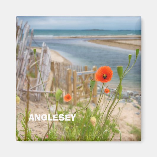 Anglesey Wales Schilderachtig Uitzicht Beach and W Magneet (Voorkant)
