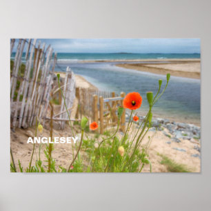 Anglesey Wales Schilderachtig Uitzicht Beach and W Poster