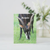 Angola Sable Antelope Briefkaart (Staand voorkant)