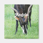 Angola Sable Antelope Magneet (Voorkant)