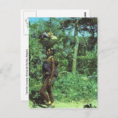 Angola, vrouw die weer op de markt komt briefkaart (Voorkant / Achterkant)