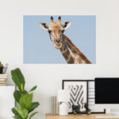 Angolan Giraffe Portrait Poster (Thuiskantoor)