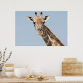 Angolan Giraffe Portrait Poster (Keuken)