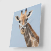 Angolese Giraffe Portret Vierkante Klok (Hoek)
