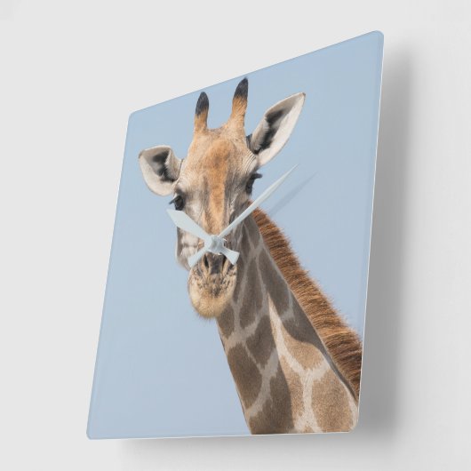 Angolese Giraffe Portret Vierkante Klok (Hoek)