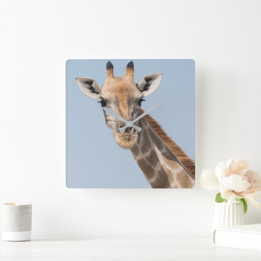 Angolese Giraffe Portret Vierkante Klok (Huis)