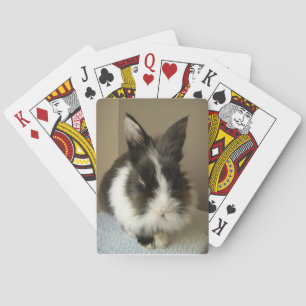 Angora Black White Rabbit-speelkaarten Pokerkaarten