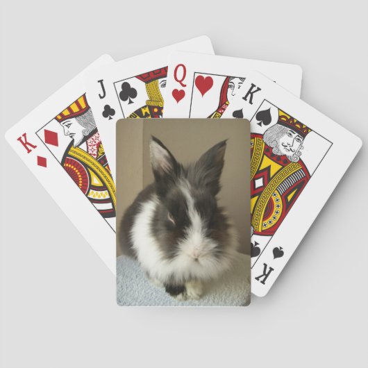 Angora Black White Rabbit-speelkaarten Pokerkaarten (Achterkant)