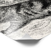 Angora Cat 1800s Perzische Katten Illustratie Foto Afdruk (Hoek)