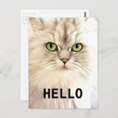 Angora Cat Briefkaart (Voorkant / Achterkant)