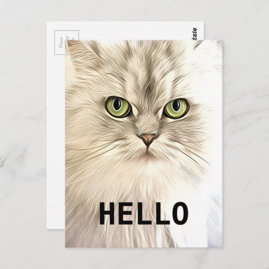 Angora Cat Briefkaart (Voorkant / Achterkant)