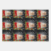 Angora Cat Holiday Inpakpapier Vel (Voorkant 2)