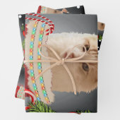 Angora Cat Holiday Inpakpapier Vel (In situ)