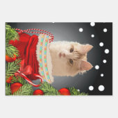 Angora Cat Holiday Inpakpapier Vel (Voorkant)
