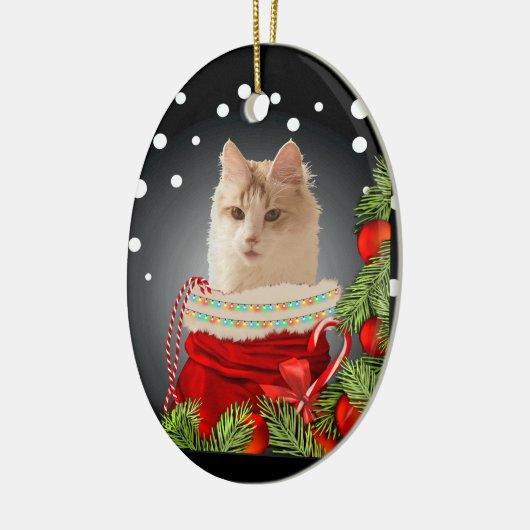 Angora Cat Keramisch Ornament (Links)