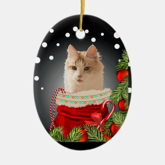 Angora Cat Keramisch Ornament (Voorkant)