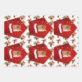 Angora Cat Kerstmis Inpakpapier Vel (Voorkant 3)