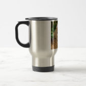 Angora cat reisbeker (Links)