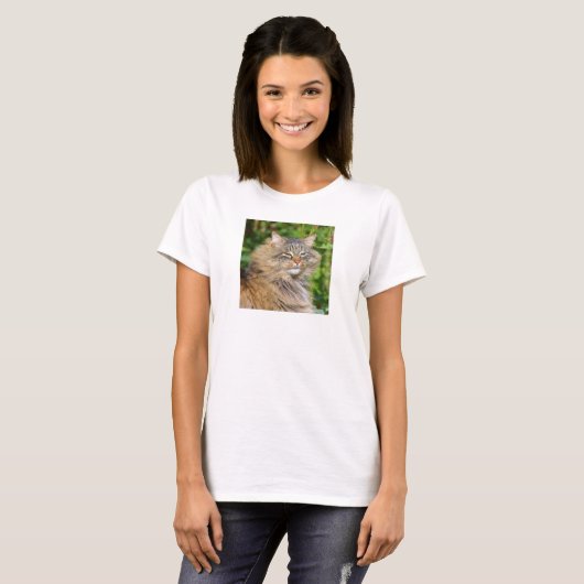 Angora cat t-shirt (Voorkant volledig)