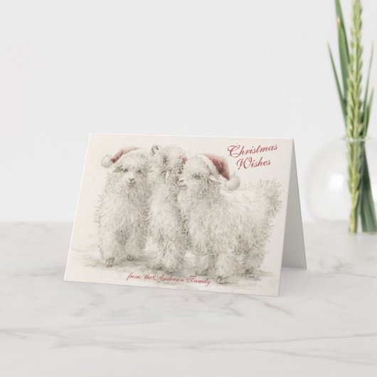 Angora Christmas Goats  Kaart (Voorkant)