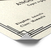 Angora Geit Zoölogie Serie Poster (Hoek)