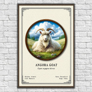 Angora Geit Zoölogie Serie Poster