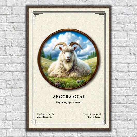 Angora Geit Zoölogie Serie Poster