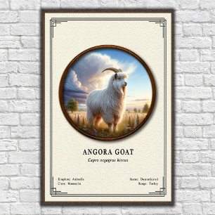 Angora Geit Zoölogie Serie Poster