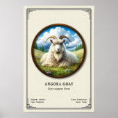 Angora Geit Zoölogie Serie Poster (Voorkant)