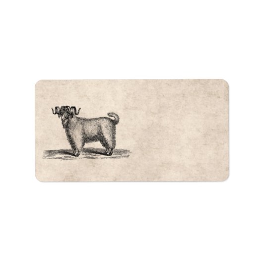  Angora geitenillustratie - 1800's Goats Etiket (Voorkant)