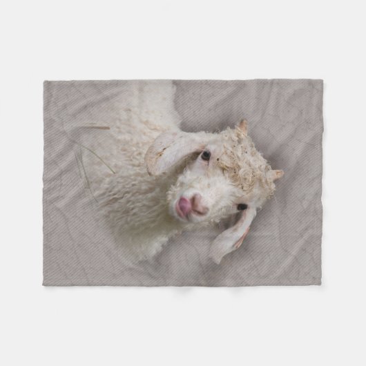 Angora Goat Fleece Deken (Voorkant (Horizontaal))