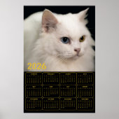 Angora Kat met Heterochromie – 2026 Kalender  Poster (Voorkant)