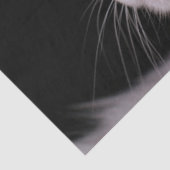 angora kattenpapier tissuepapier (Detail)