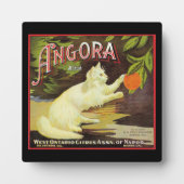  Angora White Cat Citrus Fruit Label Fotoplaat (Voorkant)