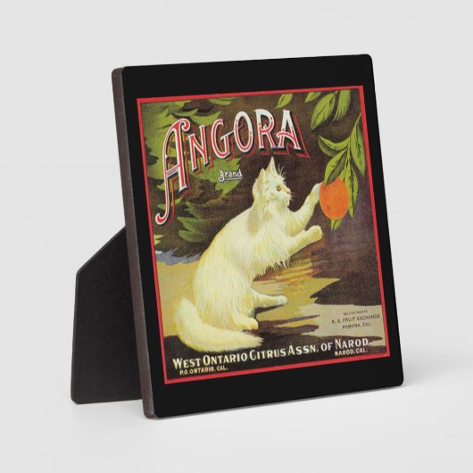  Angora White Cat Citrus Fruit Label Fotoplaat (Voorkant)