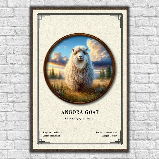 Angorageit Zoölogie Serie Poster