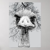 Angry Bird Poster (Voorkant)