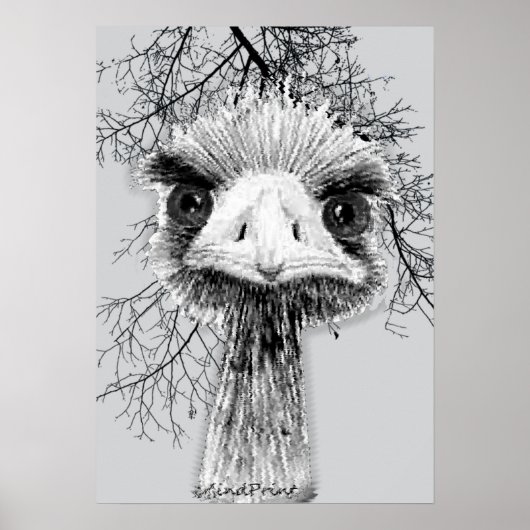 Angry Bird Poster (Voorkant)