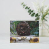 Angry Black Cat Briefkaart (Staand voorkant)