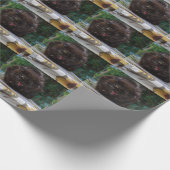 Angry Black Cat Cadeaupapier (Hoek)