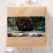 Angry Black Cat Etiket (Insitu)
