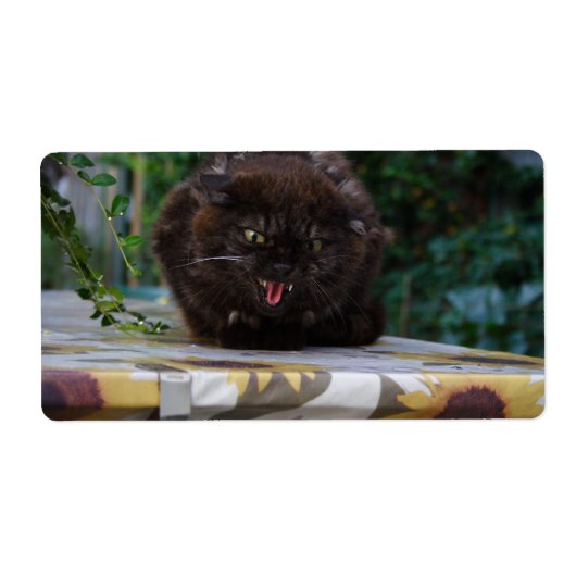 Angry Black Cat Etiket (Voorkant)