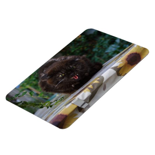 Angry Black Cat Magneet (Linkerzijde)