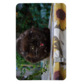 Angry Black Cat Magneet (Verticaal)