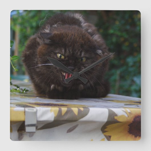 Angry Black Cat Vierkante Klok (Voorkant)