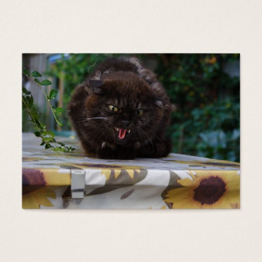 Angry Black Cat Visitekaartje (Voorkant)