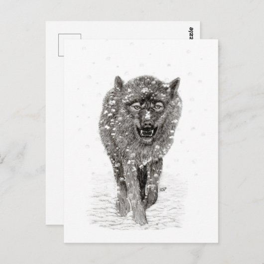 Angry Black Wolf in sneeuw, wilde winter Briefkaart (Voorkant / Achterkant)