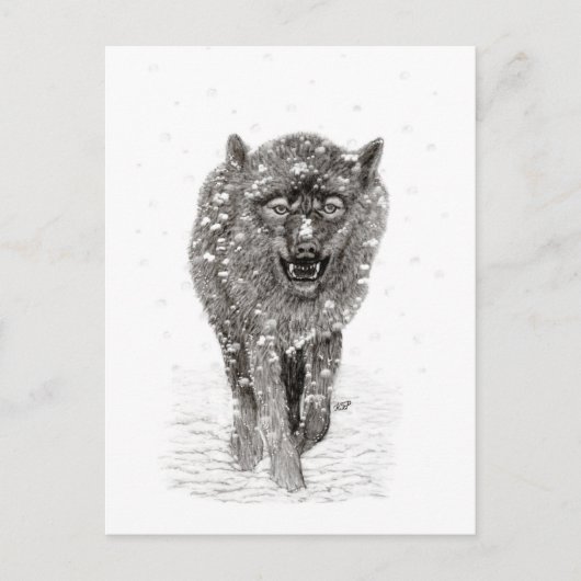 Angry Black Wolf in sneeuw, wilde winter Briefkaart (Voorkant)